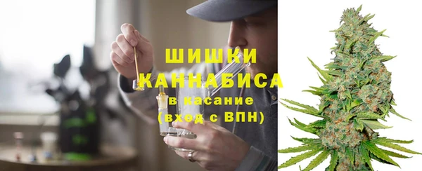 дурь Белокуриха